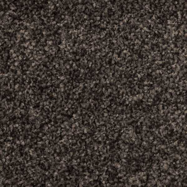 Bremworth Whisper Trail