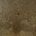 Coffee Oak
