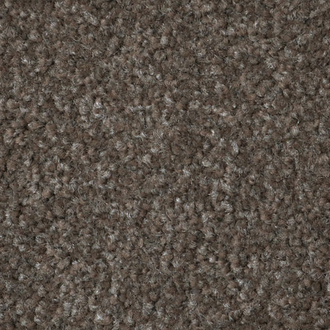 Belgotex Hilton