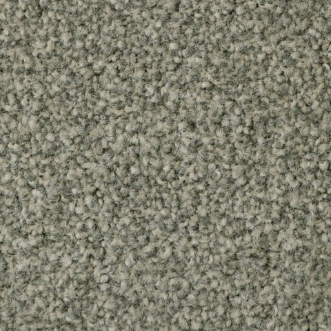 Belgotex Hilton