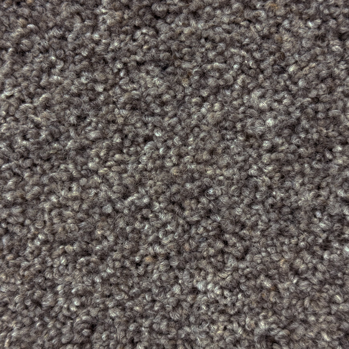 Godfrey Hirst Tussock Country – Ian Hunt Flooring