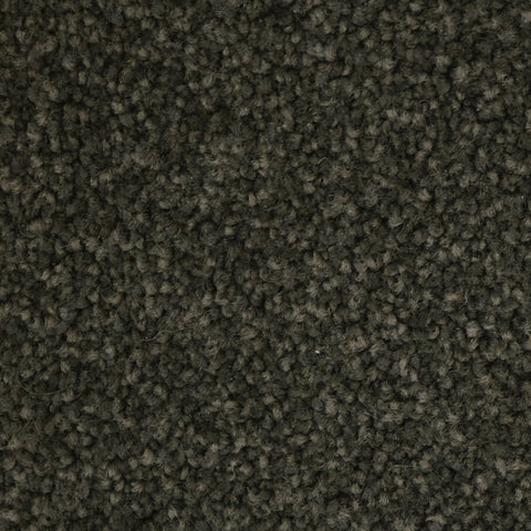 Urban Collection Elevate